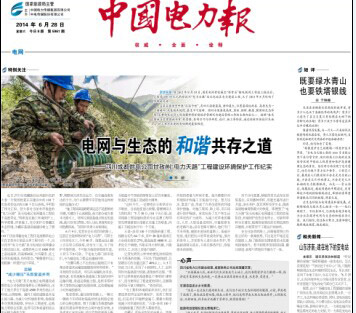 《中国电力报》头版头条：电网与生态的和谐共存之道