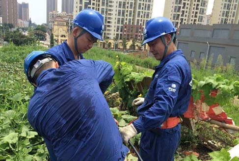【新闻现场】雷击惹了祸 抢修忙不停