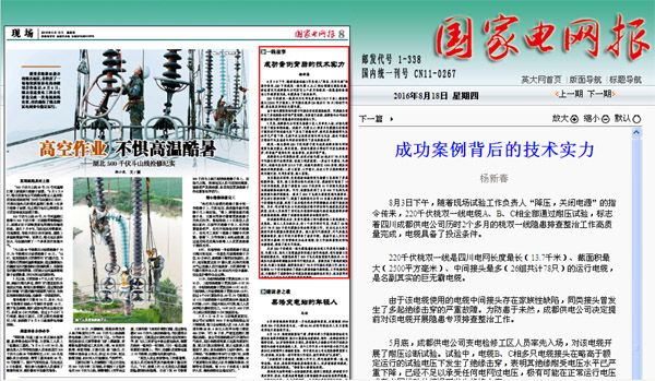 《国家电网报》：成功案例背后的技术实力 