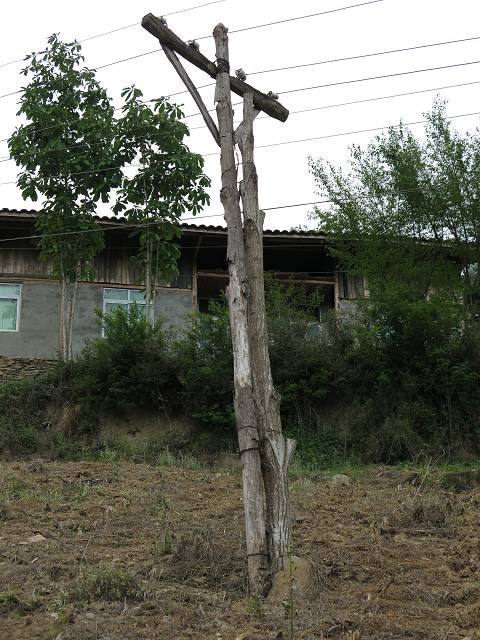 绵阳：羌笛响 莎朗跳 咂酒放歌电网改造 