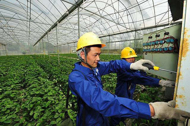 成都：用心服务 电靓蔬乡