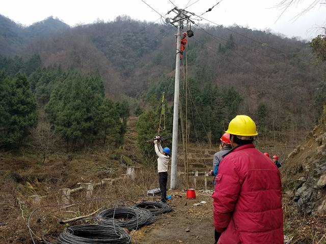 巴中：小小天麻要出山