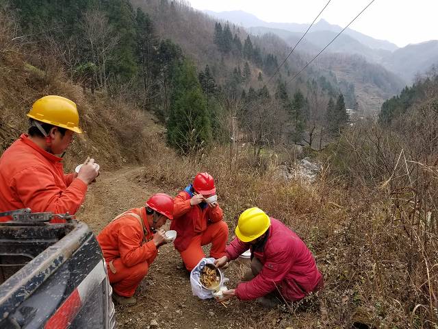 巴中：小小天麻要出山