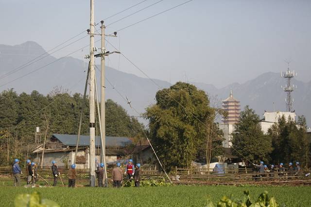 德阳：舒心电点亮了村民致富路 