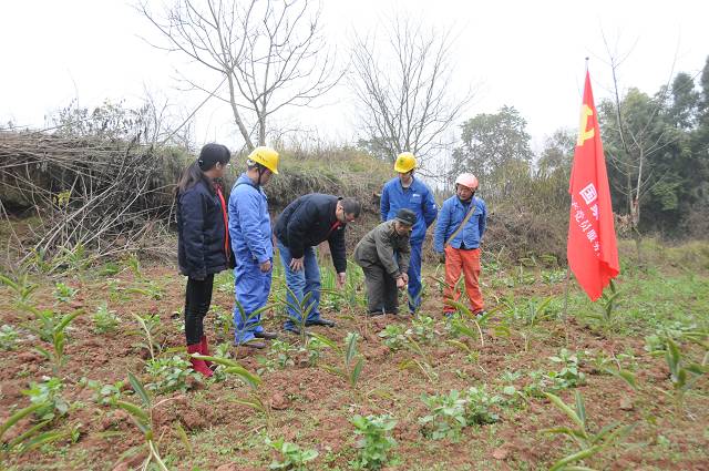 遂宁：党旗在兰草村高高飘扬 