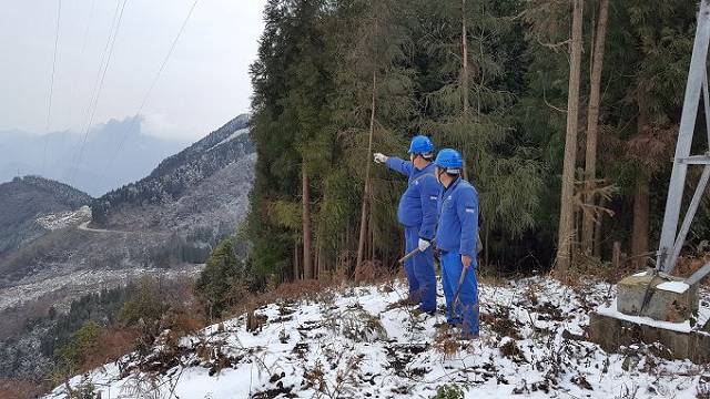 绵阳：“功夫熊猫”羌山转 巡线扎根20年