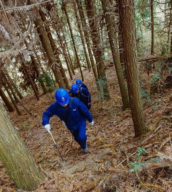 绵阳：“功夫熊猫”羌山转 巡线扎根20年