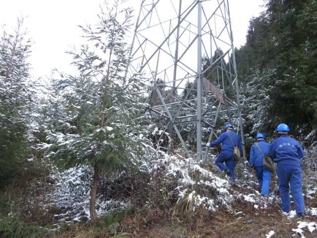 绵阳：“功夫熊猫”羌山转 巡线扎根20年