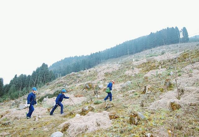 绵阳：“功夫熊猫”羌山转 巡线扎根20年