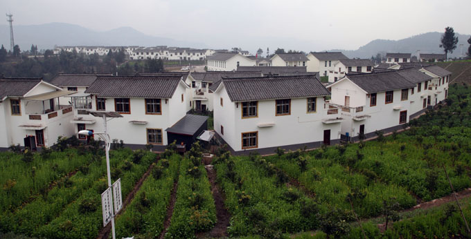 【新春走基层】鲁家坪“飞”出跑山鸡