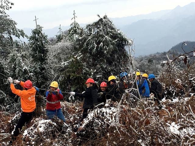巴中：冰山上的来客