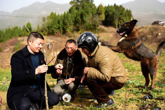 【记者走基层】广元：新山村来了“电书记”