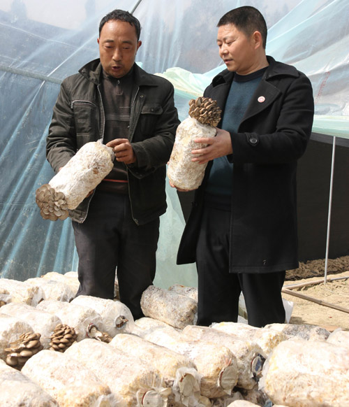 【记者走基层】广元：新山村来了“电书记”