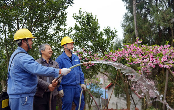 成都：桃林来了“守护神” 