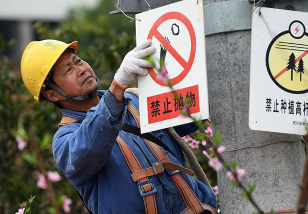 成都：桃林来了“守护神” 