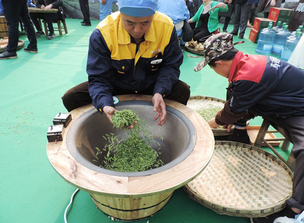 乐山：电力增香马边茶