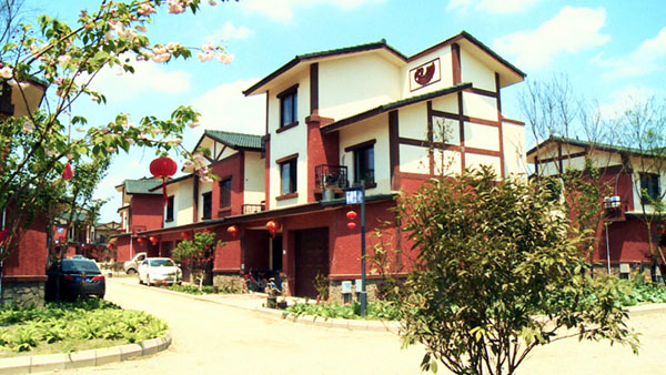 天府：美丽电网 幸福新村 