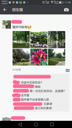 广元：绿色出行刷爆朋友圈 