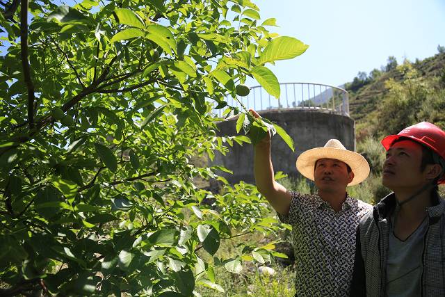 阿坝：藏羌江南气象新