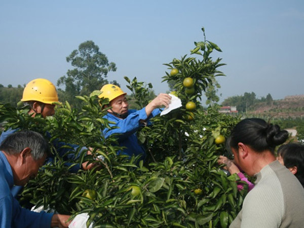 乐山：倾情十年帮扶 助力百里产业 