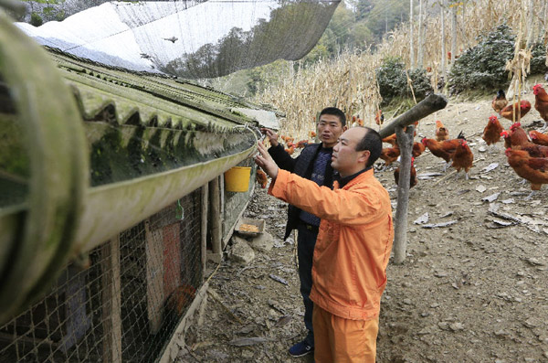 【电力助脱贫】绵阳：羌山扶贫路 