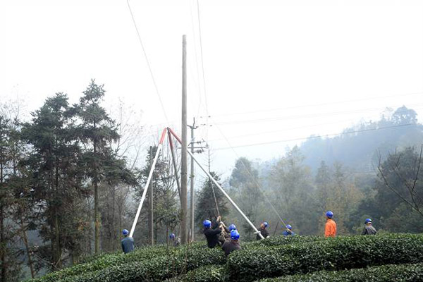 乐山：织网惠嘉州 温暖三江水 