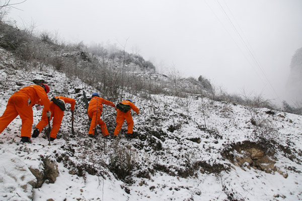 绵阳：踏雪巡线不言苦 守护万家光明 