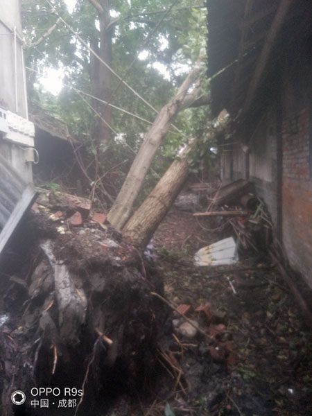 成都：抗击狂风暴雨 分秒必争抢险 