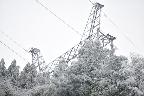 四川新闻网：抗冰雪 宜宾供电龙荆线特巡保供电