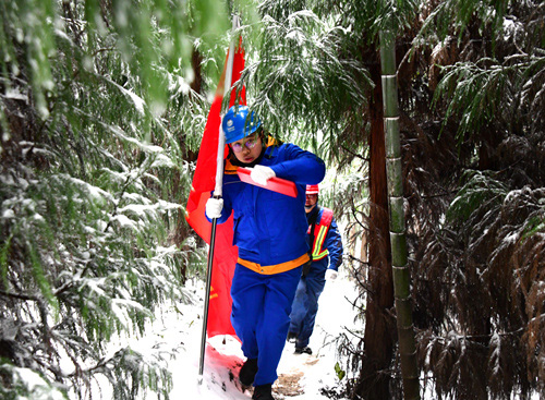 四川新闻网：抗冰雪 宜宾供电龙荆线特巡保供电