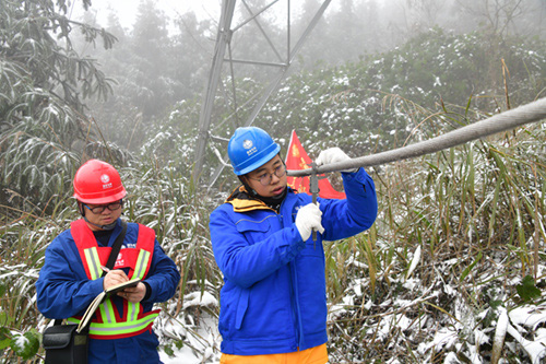 四川新闻网：抗冰雪 宜宾供电龙荆线特巡保供电