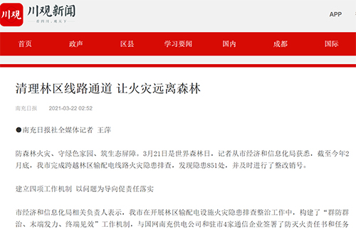 川观新闻清理林区.jpg