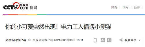 央视客户端.jpg
