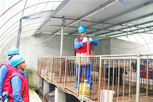 蓬安8.jpg