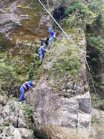 绵竹4.jpg