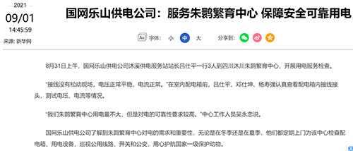 新华网乐山.jpg