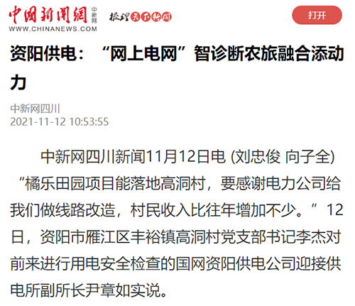 中新网资阳.jpg