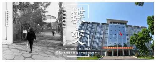 泸州9.jpg
