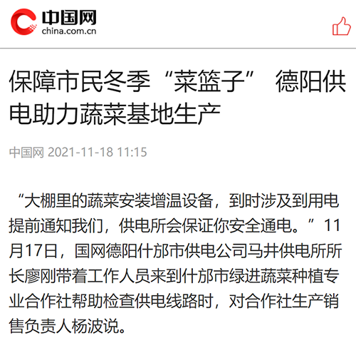 中国网德阳.png