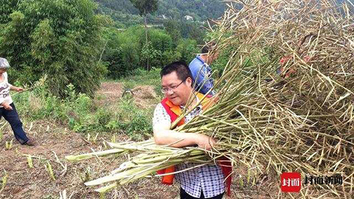 南充1.jpg