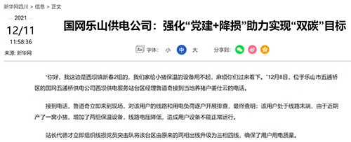 新华网乐山.png
