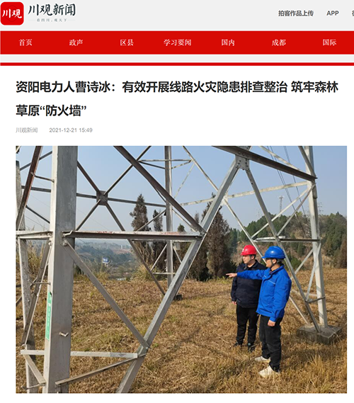 川观新闻资阳.png