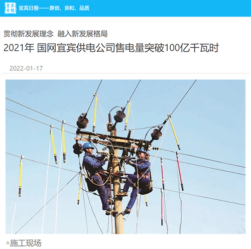 宜宾日报.png