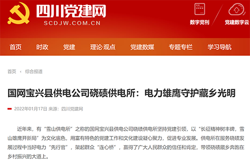 党建网宝兴.png