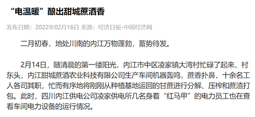 中国经济网内江.png
