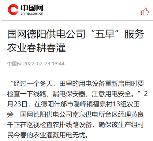 中国网德阳.png