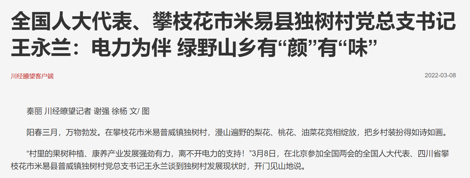 了望攀枝花.png