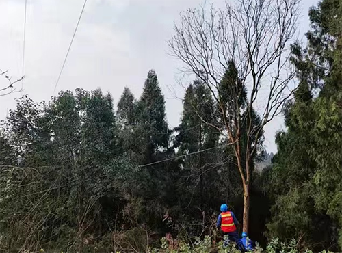 内江1.png