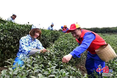 江安1.jpg