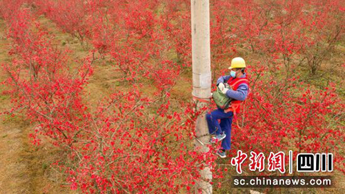 绵阳1.jpg